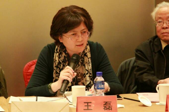 北京师范大学王磊教授发言