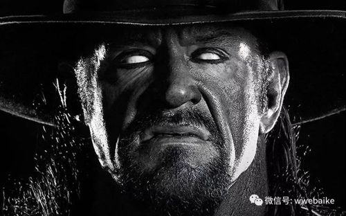 送葬者原来做过这么有意思的事!可怜的火鸡被他墓碑钉头!