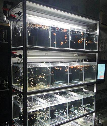 精品铝合金组缸,整体出让