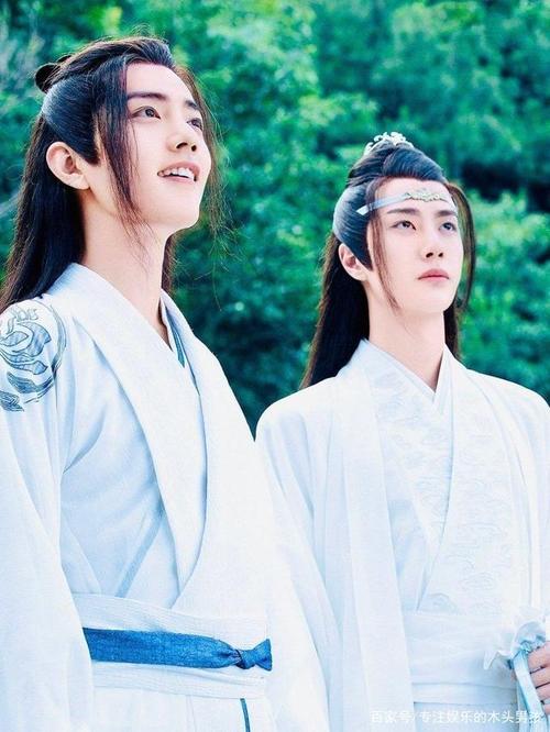 可以看到肖战和王一博cp粉火热,毕竟《陈情令》是改编自小说《魔道