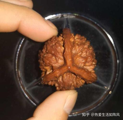 文玩核桃有哪些异形品种