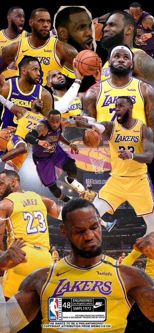 湖人总冠军 壁纸