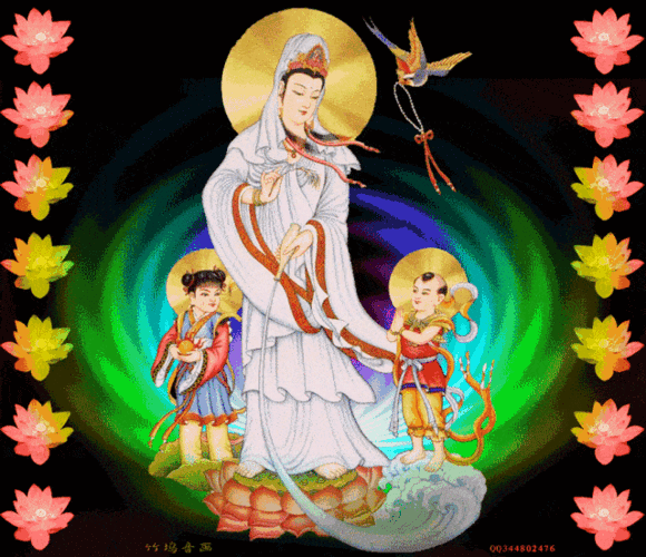 zhaoshizongqin 常回家看看 投稿  编辑 | 赵英雄 唯美观音菩萨动态美