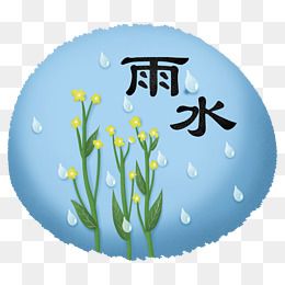 雨水春天下雨植物雨滴二十四节气