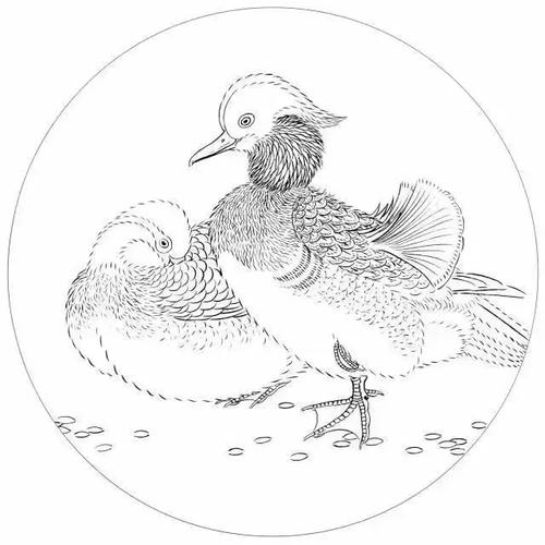 中国传统白描图谱以及白描知识及线描要求