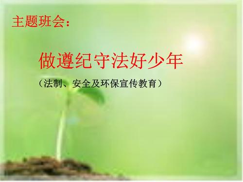 13周班会:遵纪守法好少年.ppt