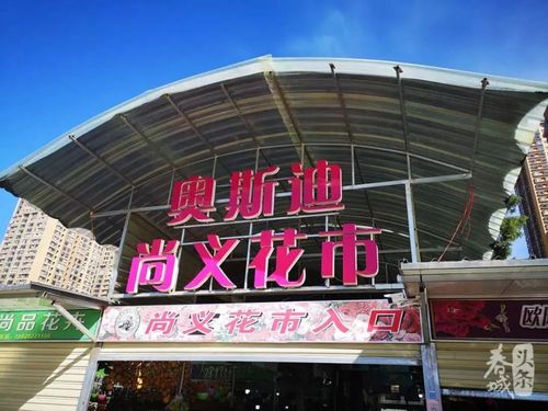 别再只知道斗南花市了!最全淘花攻略带你逛遍昆明花市