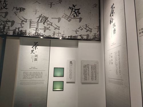 2020年11月8号谢裕大茶文化博物馆,新四军旧址