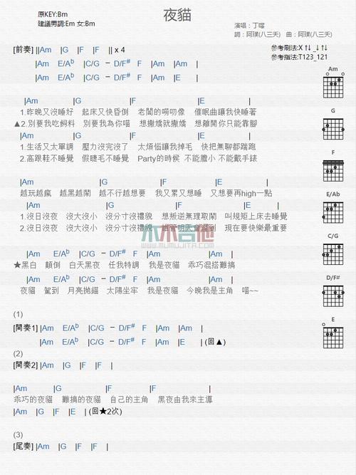 《夜猫》吉他谱