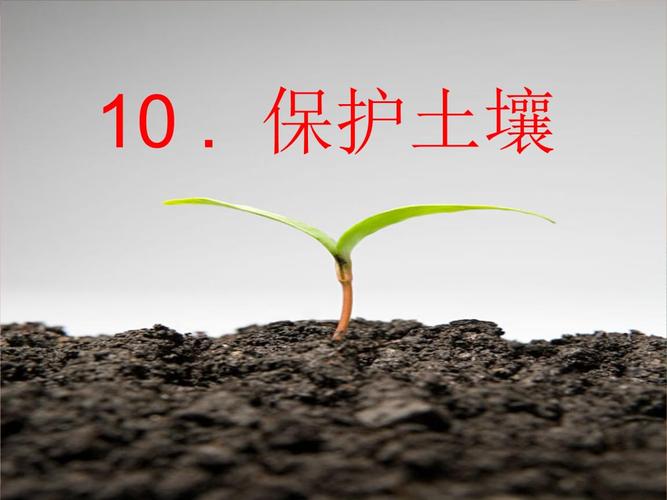 青岛版小学科学四年级下册保护土壤.pptx