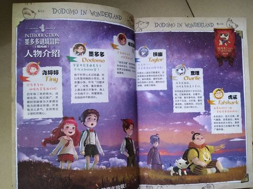 致所有查理九世的粉丝