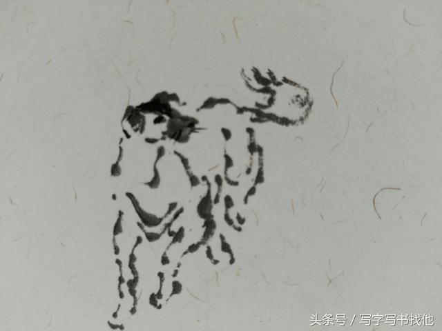 【点景飞禽水墨画法】【舞鹤动态水墨画法】【飞舞之鹤水墨画法】