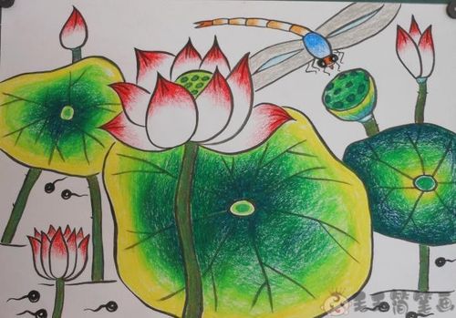 儿童画荷花图片大全