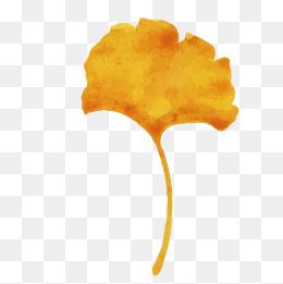 秋分白露银杏叶飘落