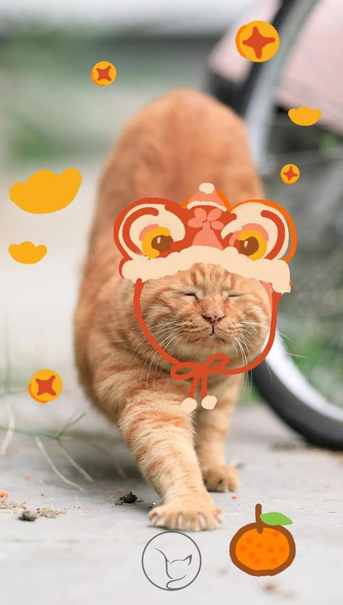 北大猫红包封面壁纸送你虎年开工更有劲