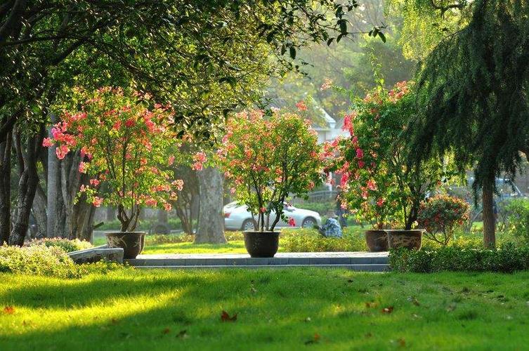 远景 近景 中景 全景 特写