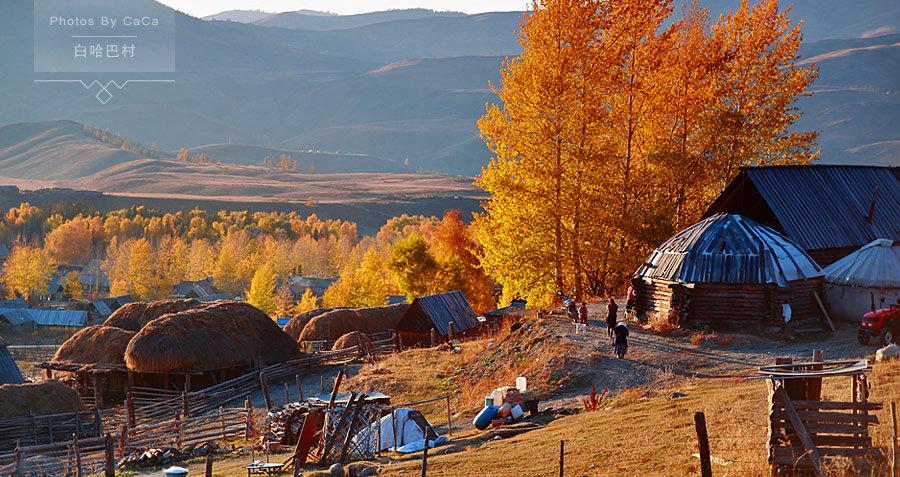 喀纳斯 白哈巴村