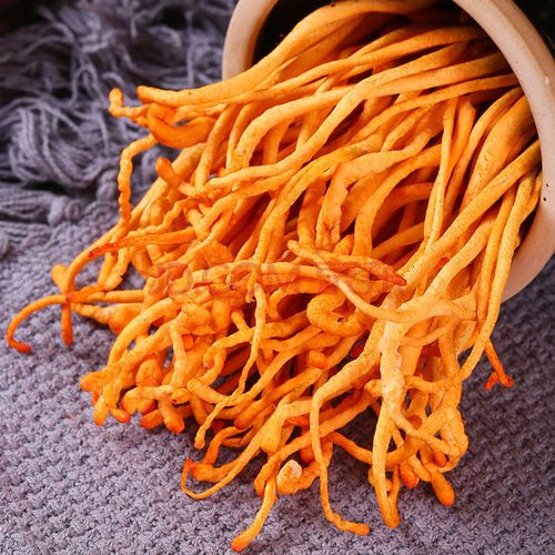 伟博现货 干虫草花新鲜 煲汤材料金虫草花蛹虫草干货孢子头125g 新鲜