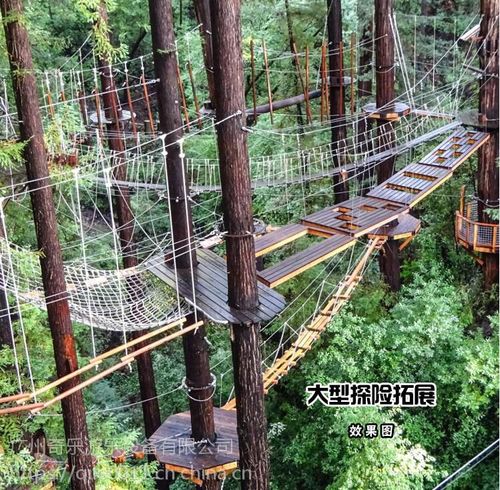 天津丛林探险拓展建造生产厂家 大型户外探险乐园设备政府采购