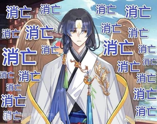 子推燕:嗯,头发什么的还是消亡了比较好了