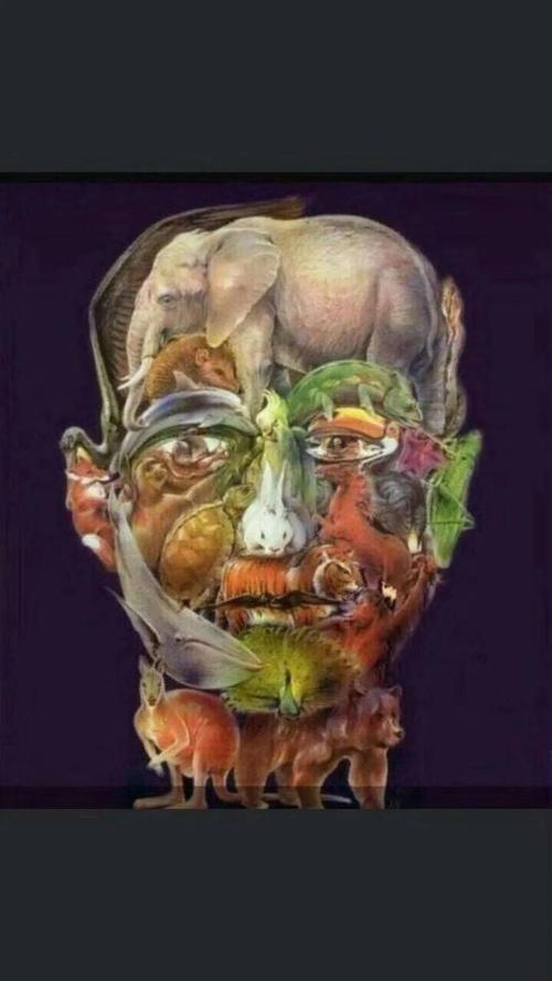 考验眼力的时刻到了,快来一起找骆驼吧