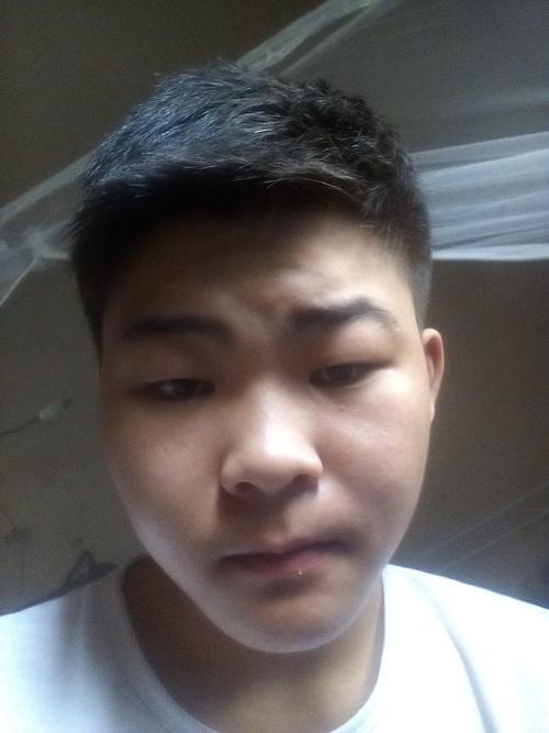 第一张,我想剪的发型,想把头发往上吹, 第二张,我是申