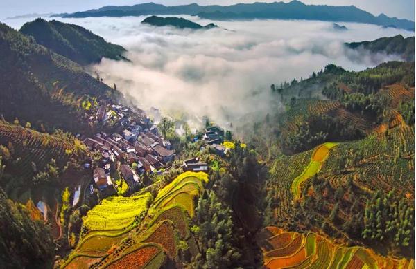 春游江淮请您来 | 歙县最美茶旅线路发布