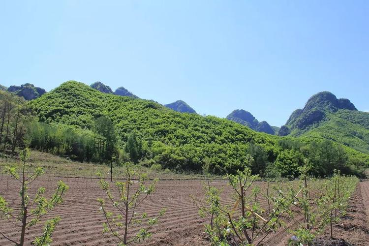 盖州猫儿岭太平庄登山活动-营口-辽宁-绿野户外网