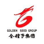 金种子