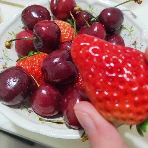 吃到草莓和车厘子了