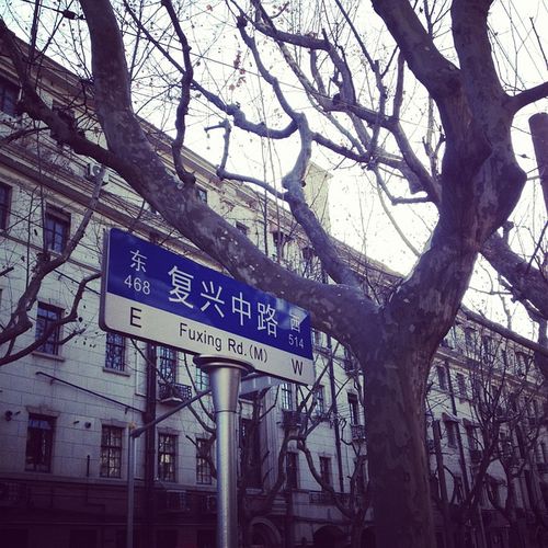 但是这一圈也没白饶,在淡水路上看到了很美很上海的街景