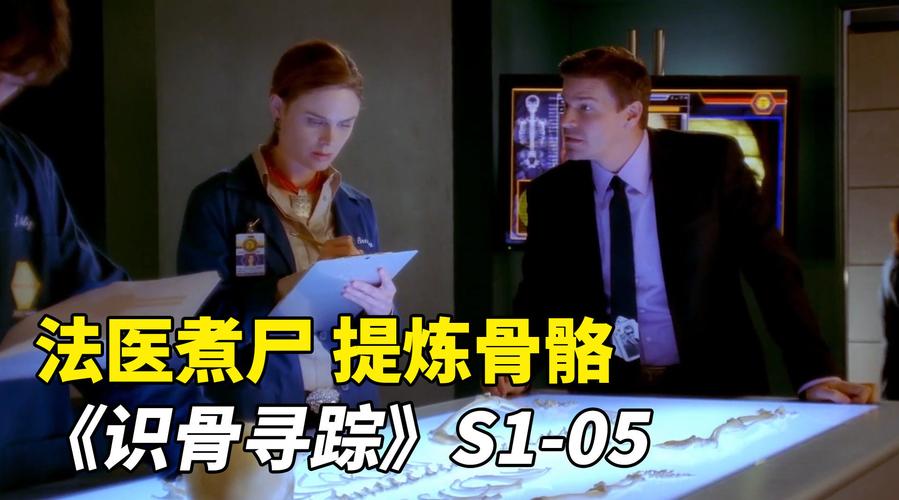 识骨寻踪:地发现一具尸体,法医煮尸提炼骨骼,找出凶手!