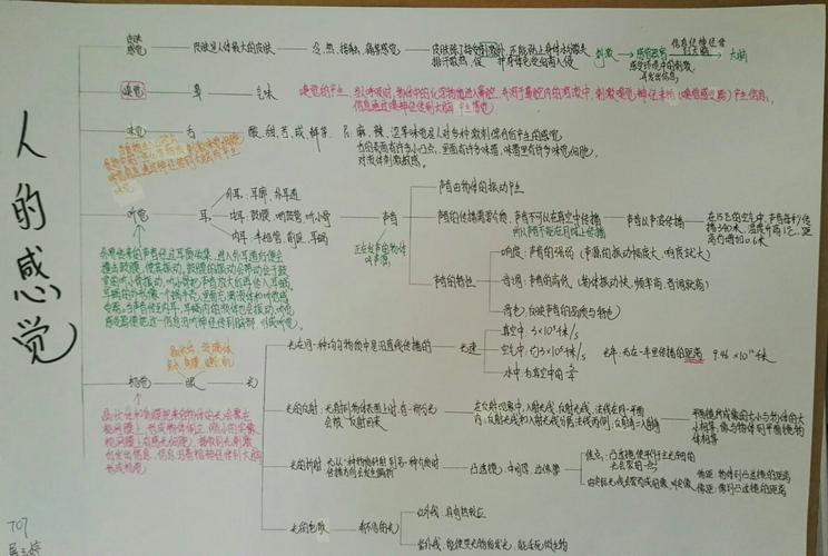 屠玉婷的也很漂亮,可惜漏了很重要的凸透镜成像.
