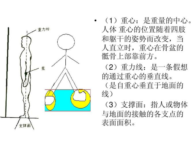 人体力学 护理学中的运用基础护理学ppt