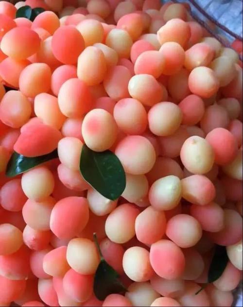 福利|火爆抖音的高颜值"水果"到底是啥?记者采访后发现