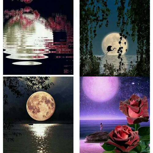 别时茫茫江浸月, 绕船月明江水寒. 江天渺渺秋月夜, 月光如水水如天.