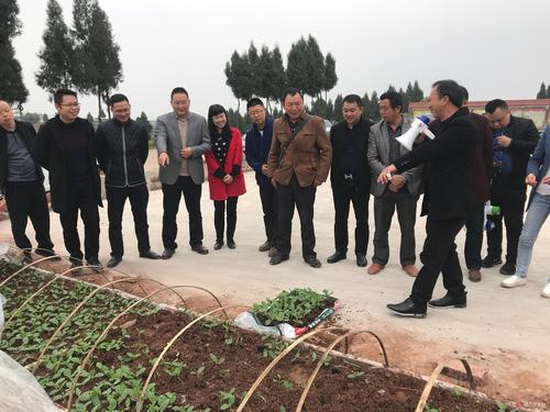 合川隆兴镇:党建引领农业生产 发展壮大集体经济