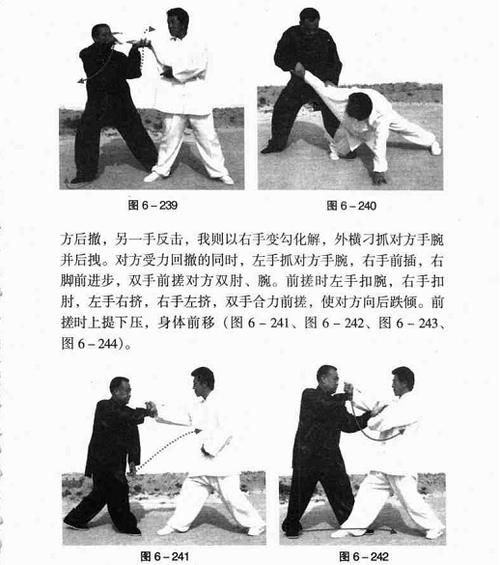 蛇形拳在搏击中的应用