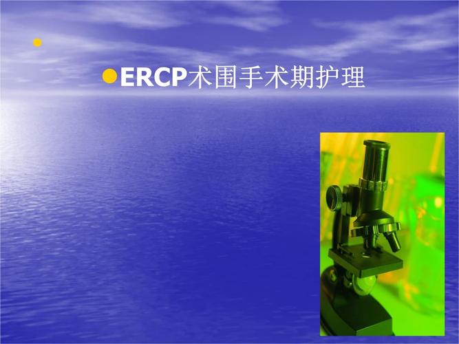ercp术围手术期护理.pptx 30页