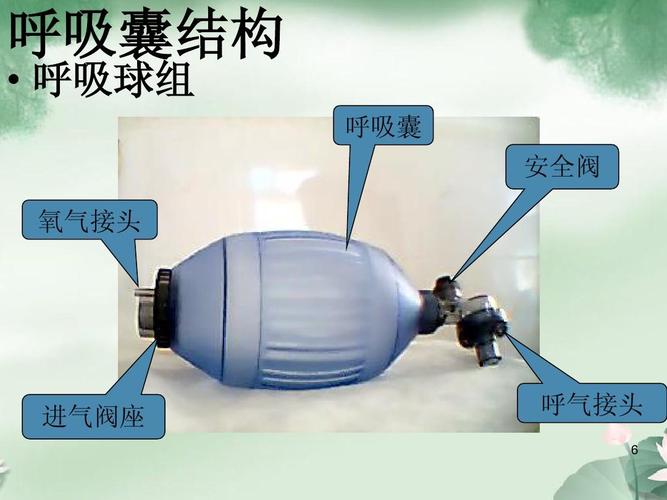 8)ppt 呼吸囊结构   呼吸球组 呼吸囊 安全阀 氧气接头 进气阀座 呼气