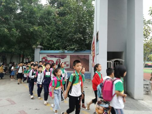 高高兴兴上学去!