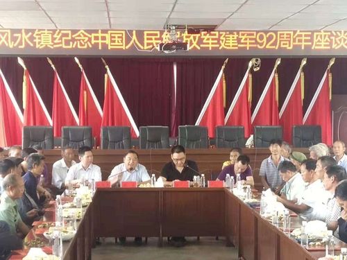 镇党委书记梁勇作讲话.