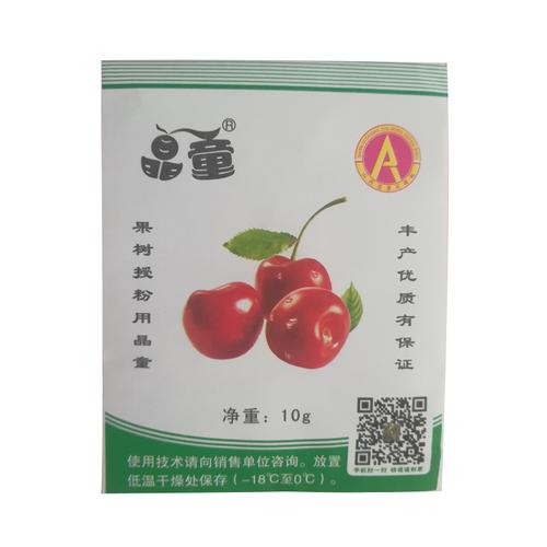 樱桃树人工授粉纯花粉车厘子红灯美早萨米脱黑珍珠大樱桃晶童花粉