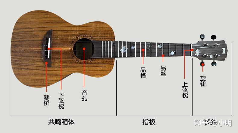 尤克里里初学者入门推荐