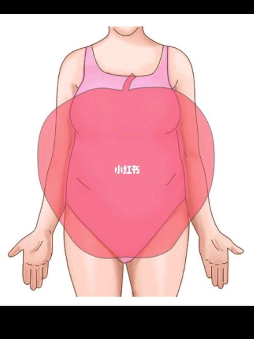 苹果型和梨型身材的训练方向_hiit_减脂_腹肌_有氧运动_增肌_运动健身