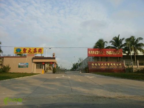 海南屯昌县经定安至海口2014-02-28 08:35:56