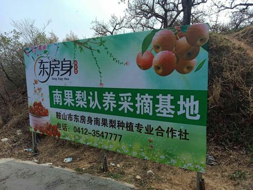 果树认养让你感受劳动收获的喜悦