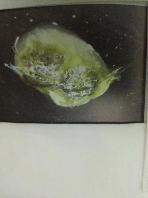 正常健康鸽子粪便2.新城疫病毒感染