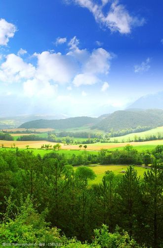 绿色大自然风景图片