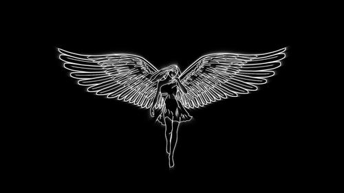 翅膀羽毛女孩天使合成